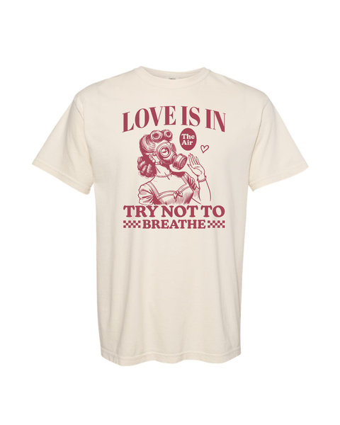 Lady Love is in the Air