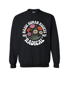 Basic Human Rights are NOT Radical