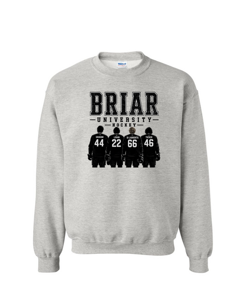Briar University Hockey w/jerseys