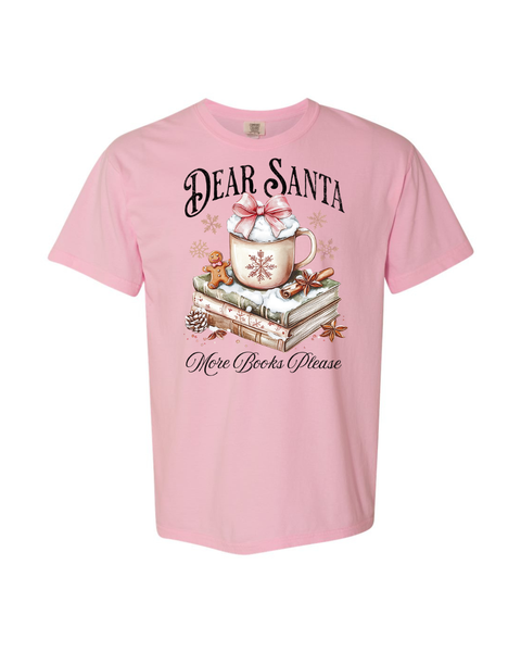 Dear Santa, More Books Please
