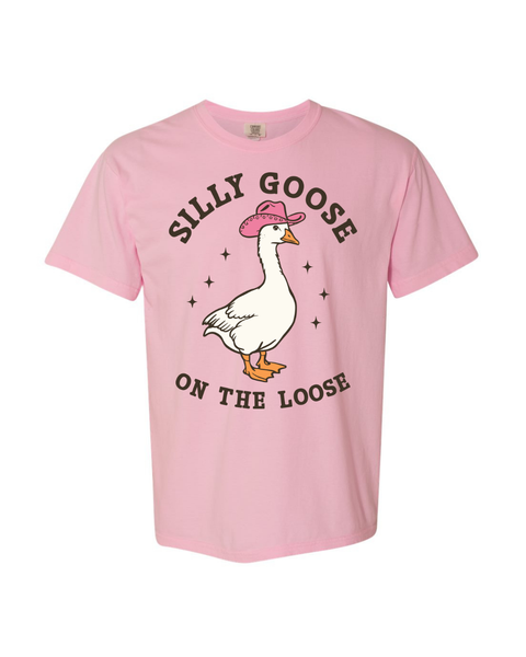 Silly Goose