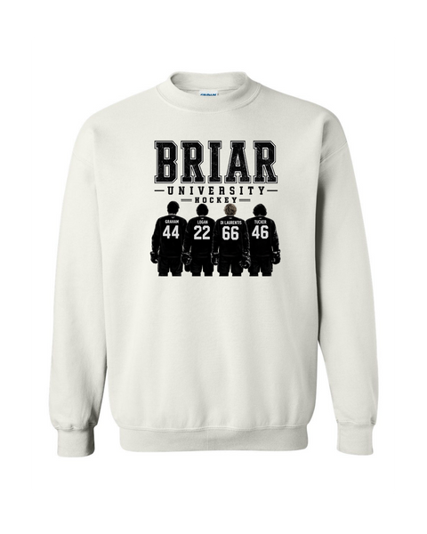Briar University Hockey w/jerseys