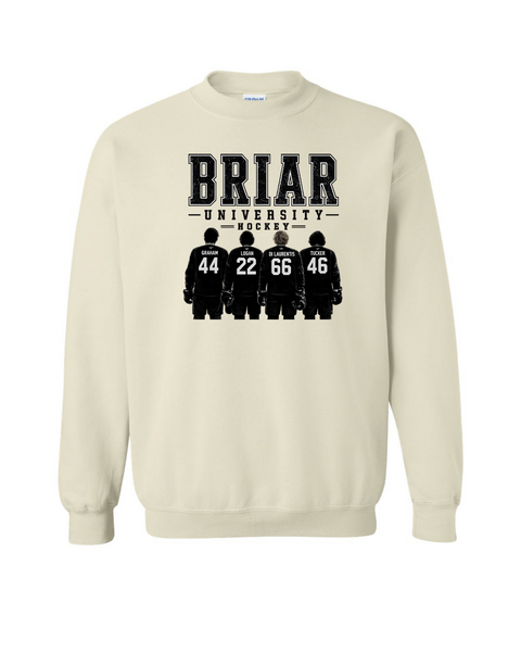 Briar University Hockey w/jerseys