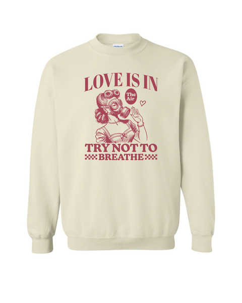 Lady Love is in the Air