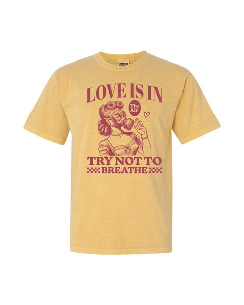 Lady Love is in the Air