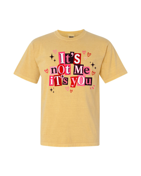 It's Not Me It's You