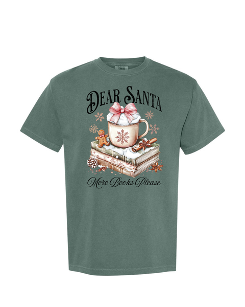 Dear Santa, More Books Please