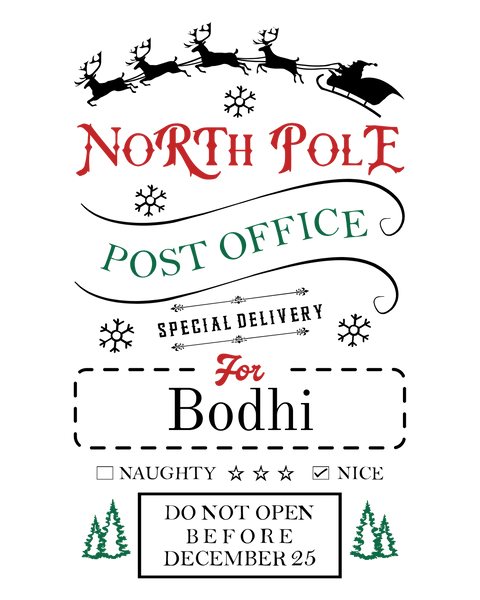 Reuseable Holiday Gift Bags- Custom Options