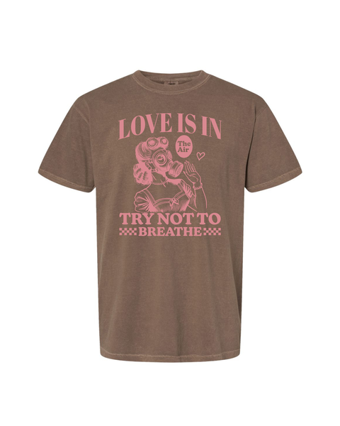 Lady Love is in the Air