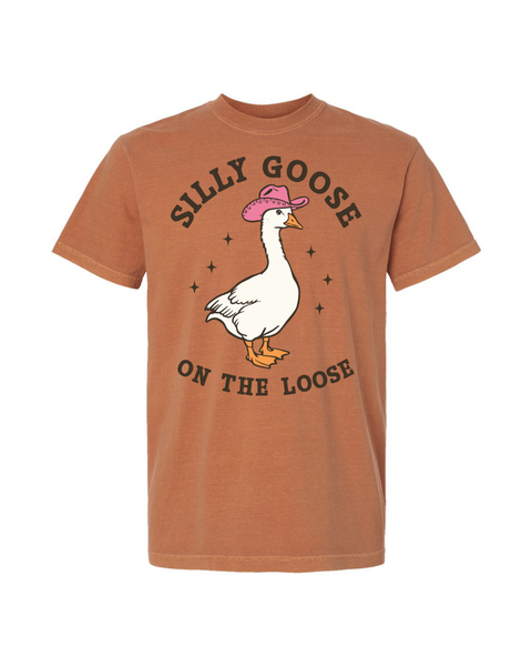 Silly Goose