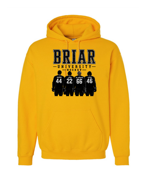 Briar University Hockey w/jerseys