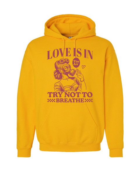 Lady Love is in the Air