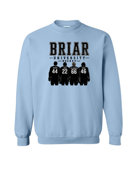 Briar University Hockey w/jerseys