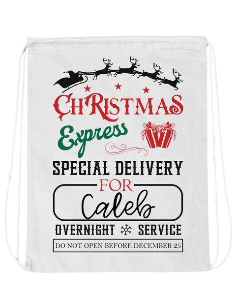 Reuseable Holiday Gift Bags- Custom Options