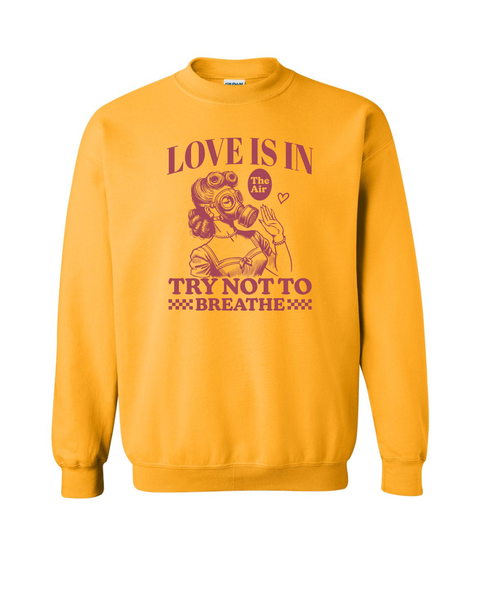 Lady Love is in the Air